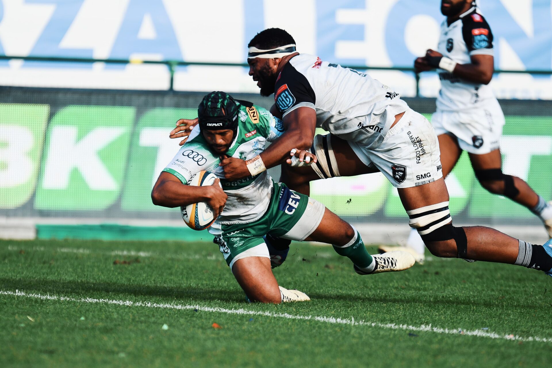 Biglietti Partite | Benetton Rugby